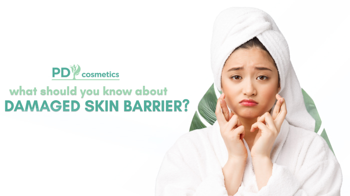 What Should You Know About Damaged Skin Barrier